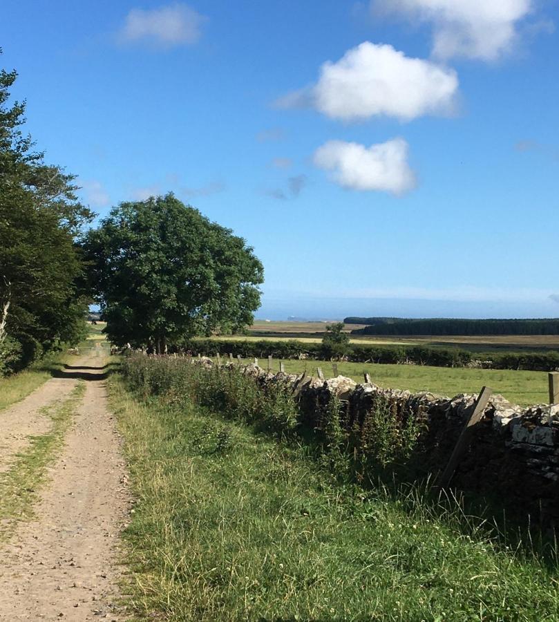Caithness View Luxury Farm Lodges And Bbq Huts Wick  Ngoại thất bức ảnh