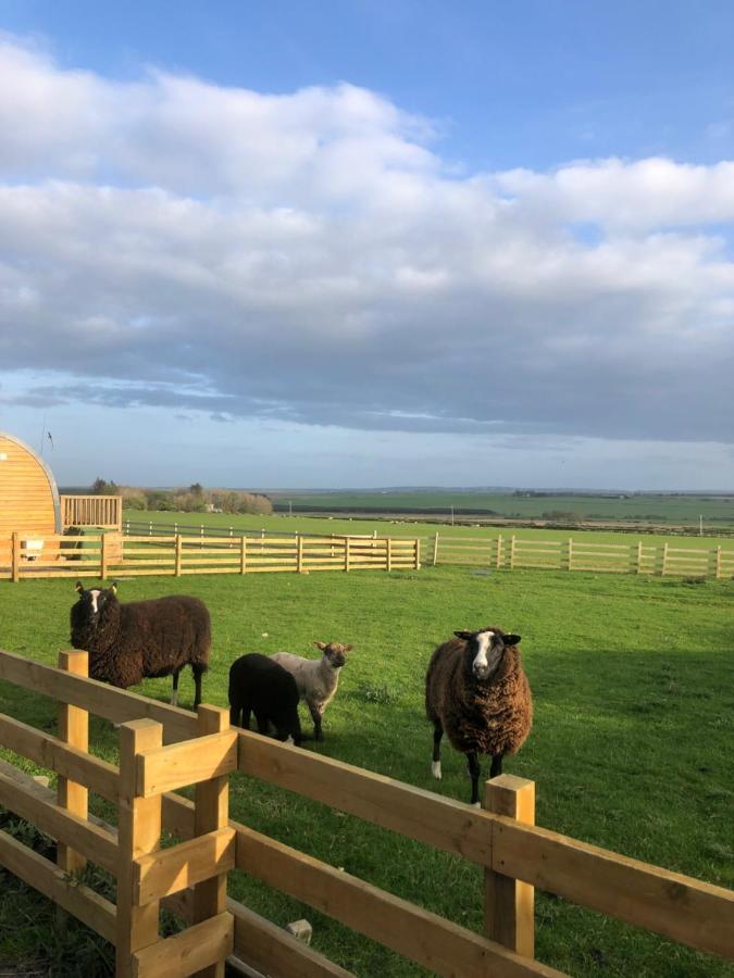 Caithness View Luxury Farm Lodges And Bbq Huts Wick  Ngoại thất bức ảnh