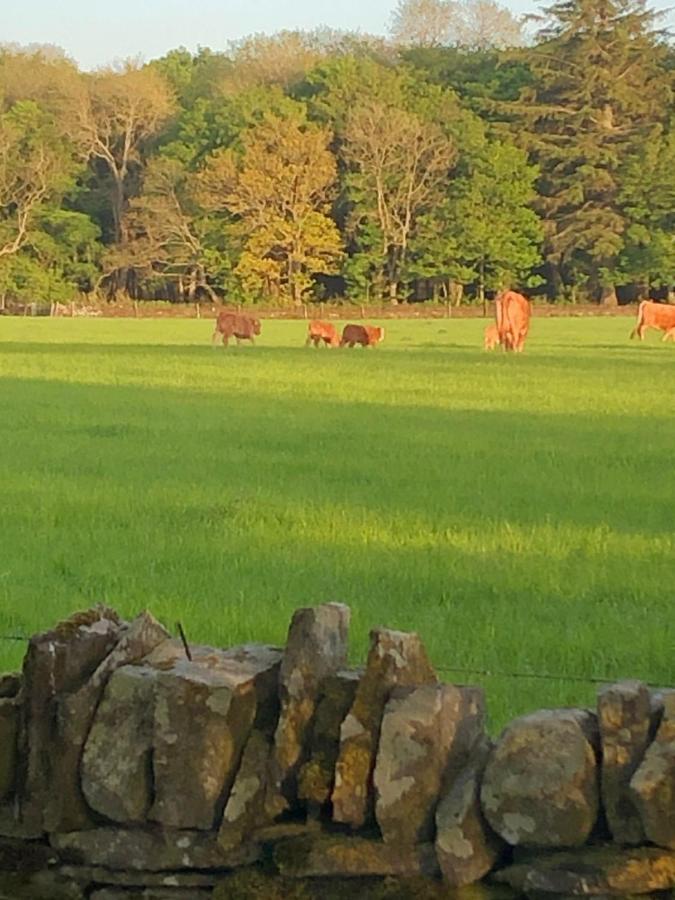 Caithness View Luxury Farm Lodges And Bbq Huts Wick  Ngoại thất bức ảnh
