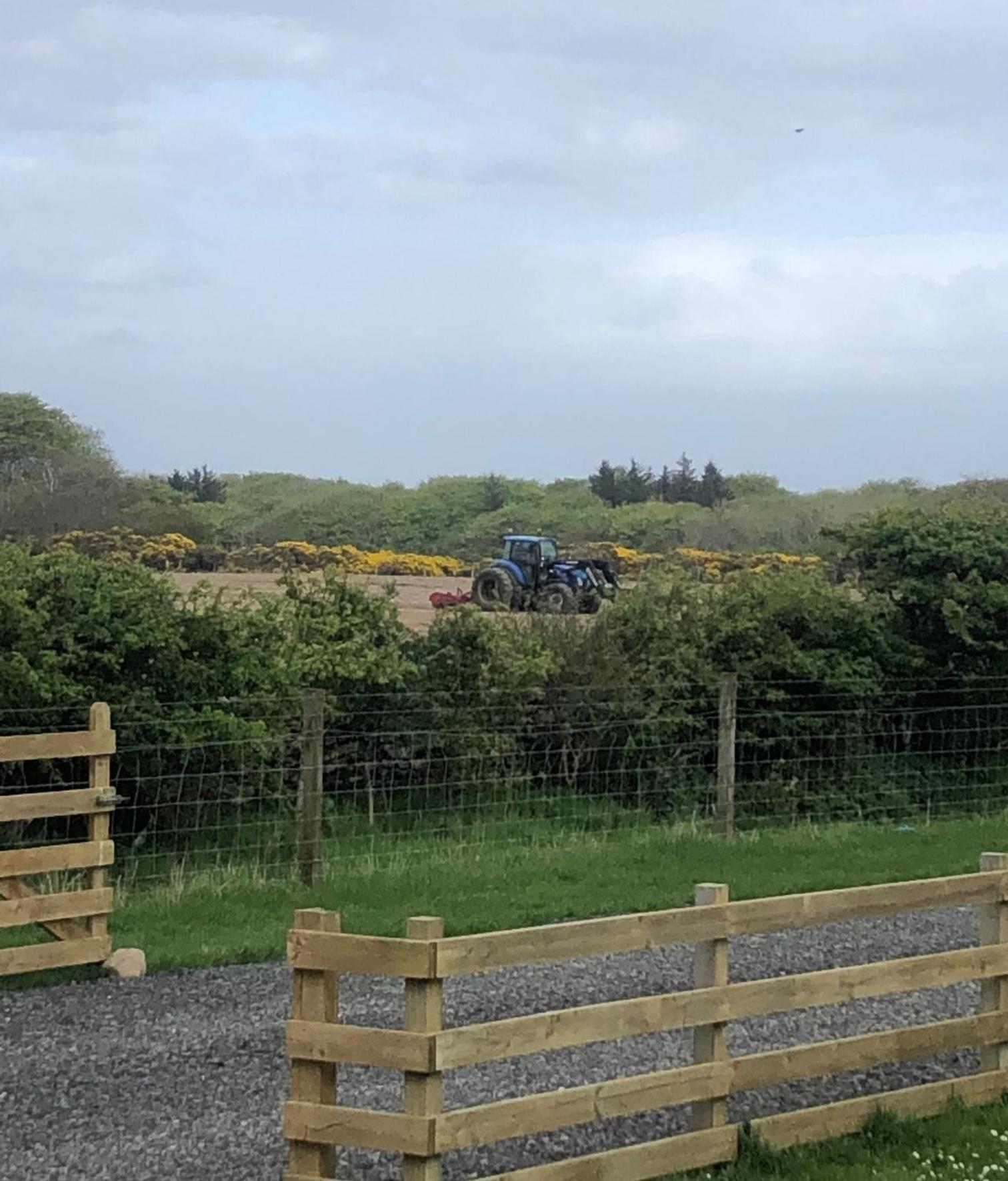 Caithness View Luxury Farm Lodges And Bbq Huts Wick  Ngoại thất bức ảnh